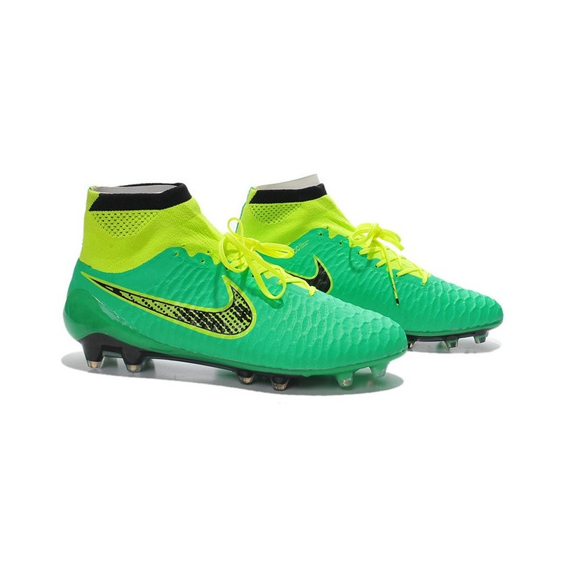 magista verte