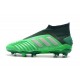 Chaussures de Football adidas Predator 19+ FG Vert Argent