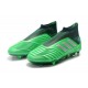 Chaussures de Football adidas Predator 19+ FG Vert Argent