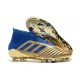 Chaussure Nouveaux adidas Predator 19+ FG Oro Bleu