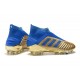 Chaussure Nouveaux adidas Predator 19+ FG Oro Bleu