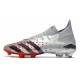 adidas Predator Freak.1 FG/AG Argent Métallique Noir Foncé Equipe Bleu