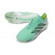 Crampons Nouveaux adidas Predator Elite L FG Vert Argent