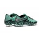 Nike Hypervenom Phinish FG - Terrain Sec - Chaussures De Football - Argenté Noir Vert