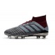 Chaussures de Football Pour Hommes - adidas Paul Pogba Predator 18.1 FG Iron Metallic
