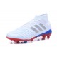 Chaussures de Football Pour Hommes - adidas Predator Telstar 18.1 FG Argent Rouge Bleu